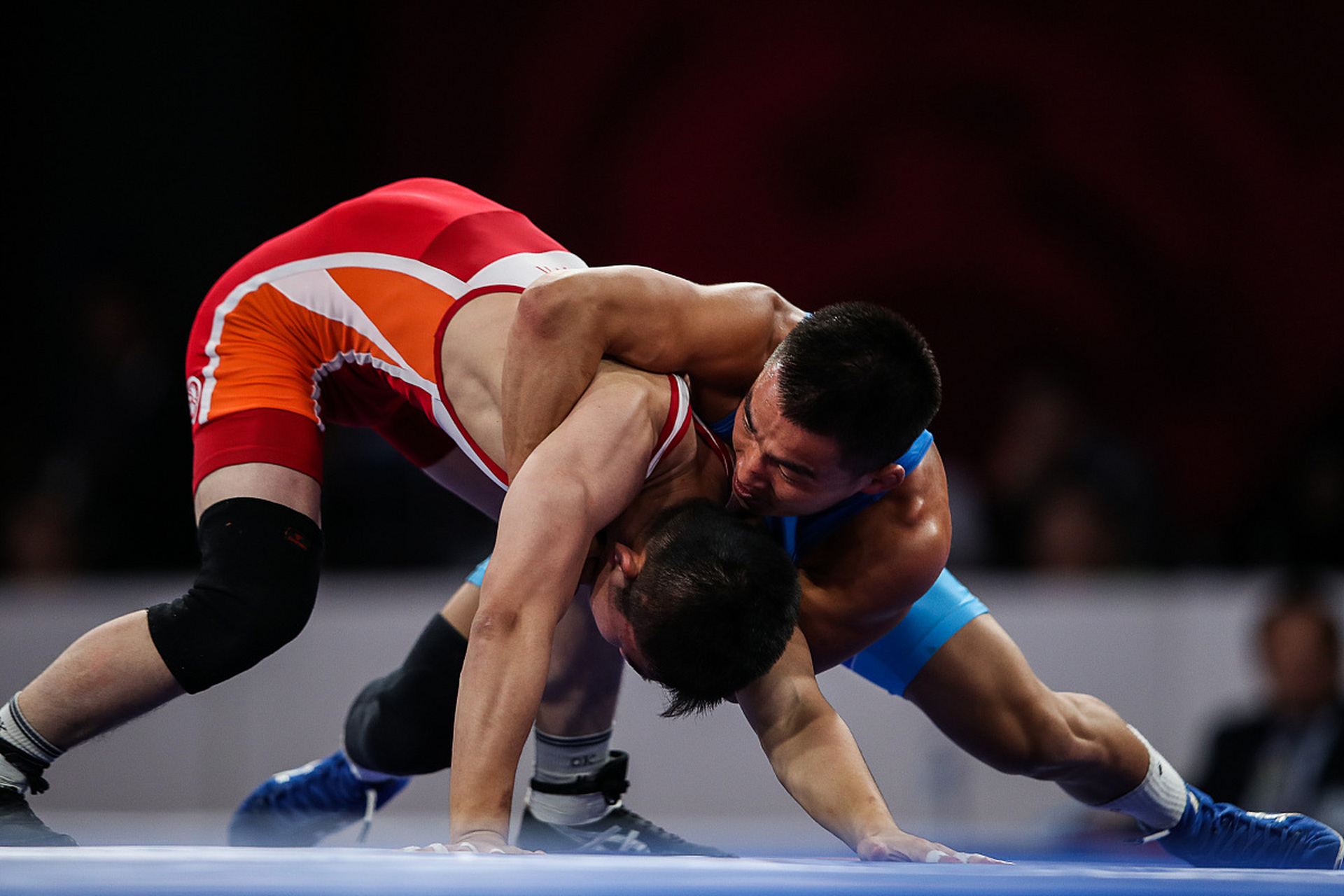 引入了多名 引入了多名