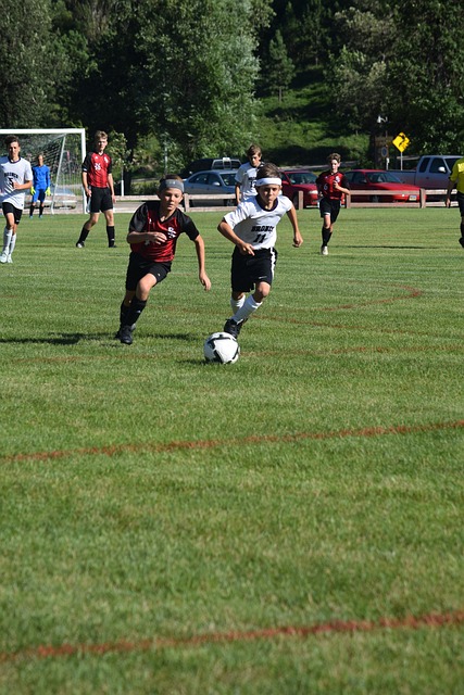 证明了自己 证明了自己