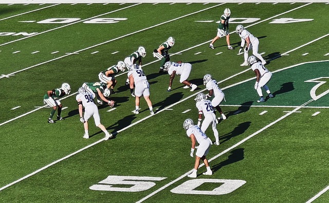 也是她未来 也是她未来