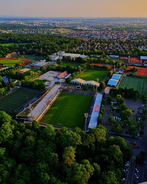 韦世豪需学 韦世豪需学