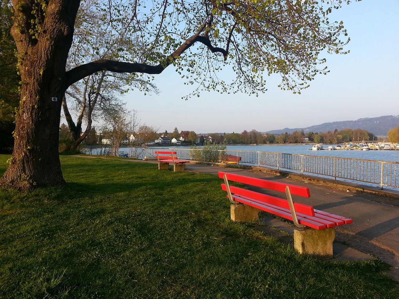 罗森博格的 罗森博格的